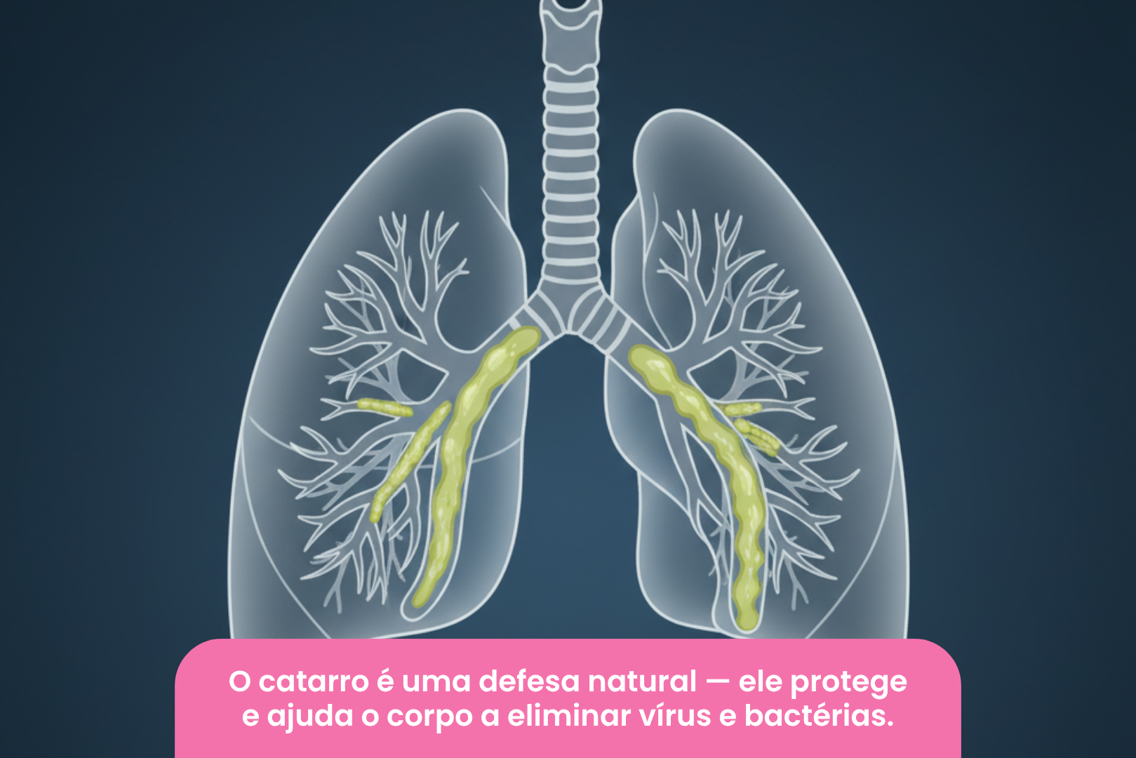 Tosse com catarro: quando ela é sinal de melhora e quando precisa de ...
